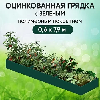 Грядка зеленая (0,6 х 7,9)
