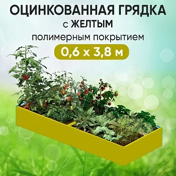 Грядка желтая (0,6 х 3,8)
